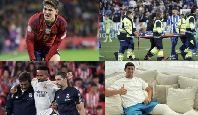 马洛卡展现 马洛卡展现